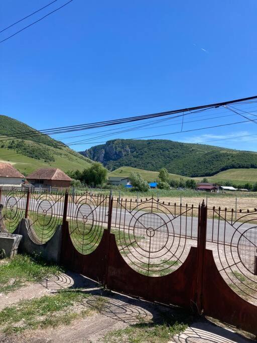 Casa Cheilor Villa Petreştii de Jos Buitenkant foto