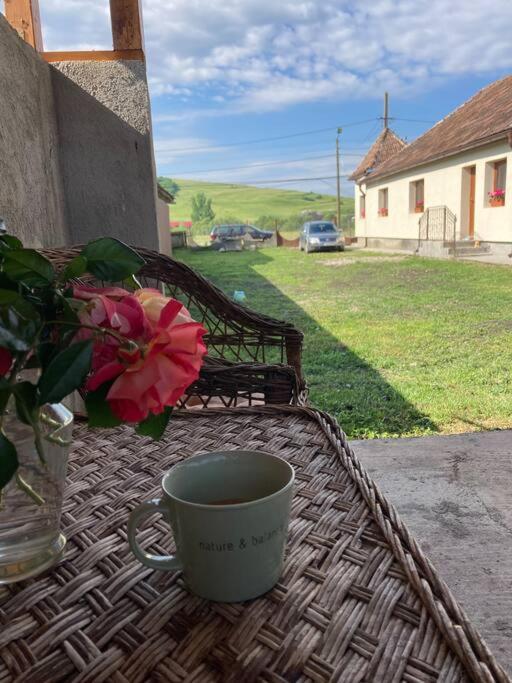 Casa Cheilor Villa Petreştii de Jos Buitenkant foto