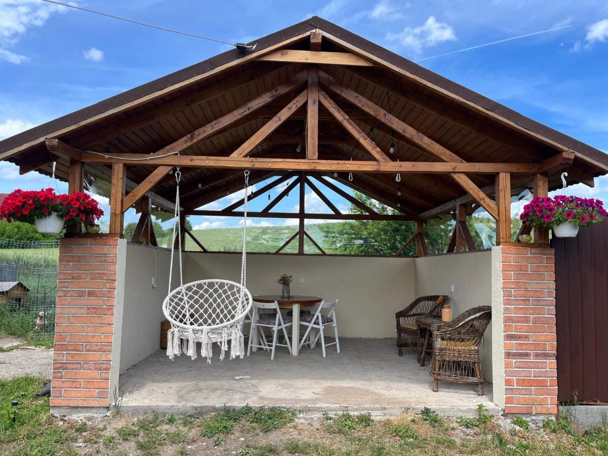 Casa Cheilor Villa Petreştii de Jos Buitenkant foto