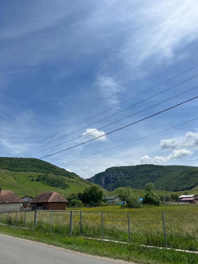 Casa Cheilor Villa Petreştii de Jos Buitenkant foto