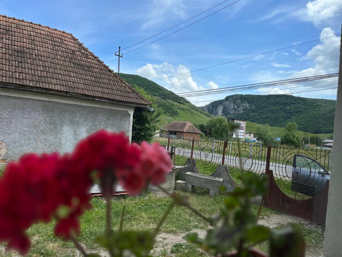 Casa Cheilor Villa Petreştii de Jos Buitenkant foto