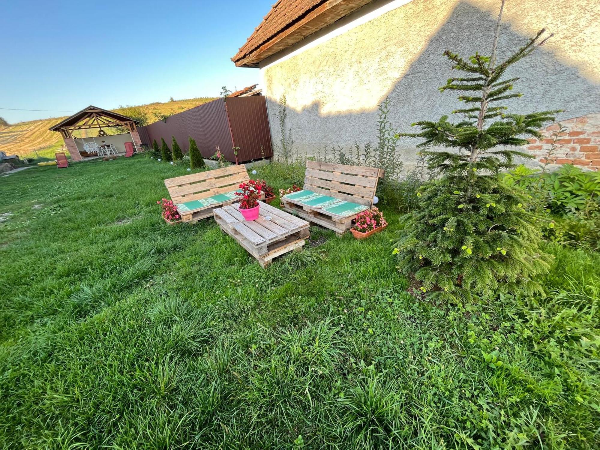 Casa Cheilor Villa Petreştii de Jos Buitenkant foto